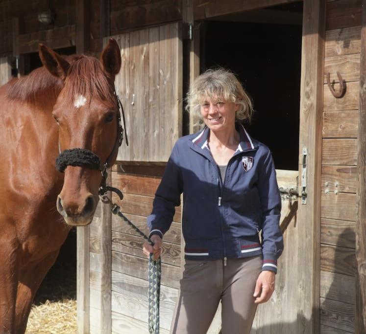 Serenite A La Ferme Equestre Lempzours Exteriör bild